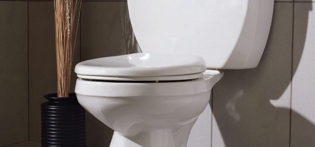 Signs Your Toilet Needs to Be Replaced Stat!